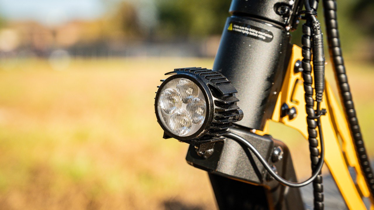 ausom leopard front light.jpg