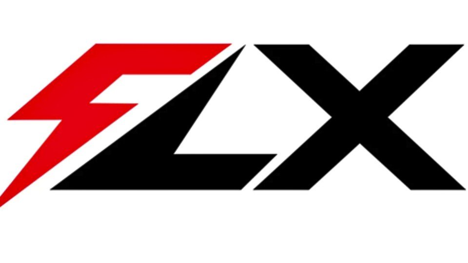 FLX Logo