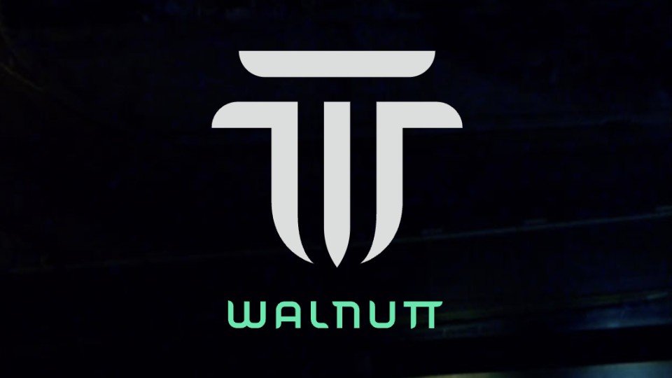 Walnutt Technology Logo