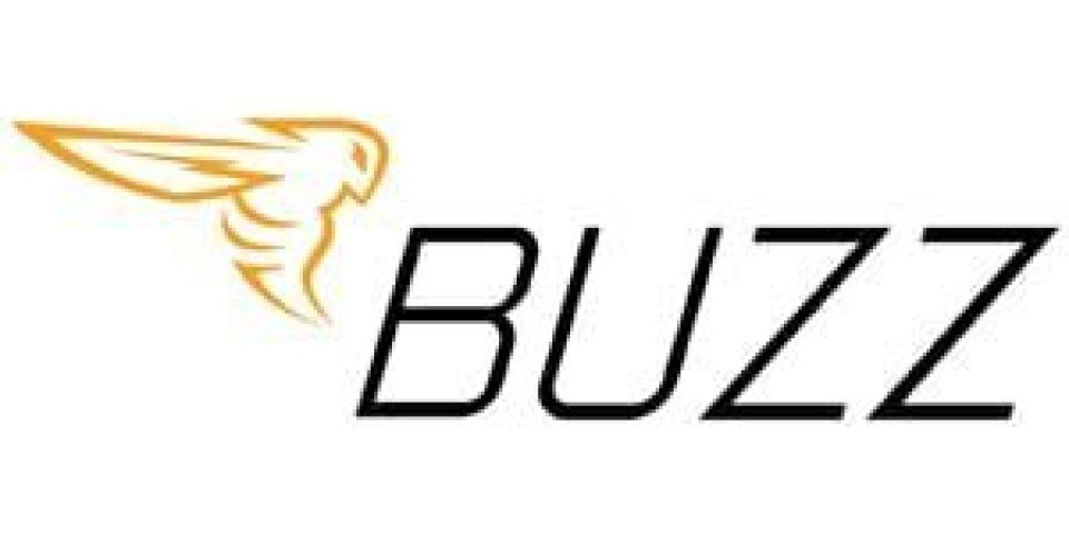 buzz-logo-lbox-300x150-FFFFFF